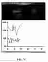 Fig. 06 - METHOD AND APPARATUS FOR MOVING STAGE DETECTION OF SINGLE MOLECULAR EVENTS