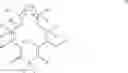 Fig. 04 - Macrolide compounds containing biotin and photo-affinity group for macrolide target identification