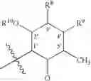 Fig. 07 - Macrolide compounds containing biotin and photo-affinity group for macrolide target identification