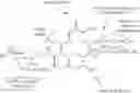 Fig. 32 - Macrolide compounds containing biotin and photo-affinity group for macrolide target identification