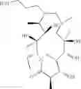 Fig. 37 - Macrolide compounds containing biotin and photo-affinity group for macrolide target identification