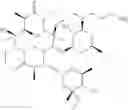 Fig. 40 - Macrolide compounds containing biotin and photo-affinity group for macrolide target identification