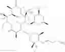 Fig. 41 - Macrolide compounds containing biotin and photo-affinity group for macrolide target identification