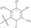 Fig. 52 - Macrolide compounds containing biotin and photo-affinity group for macrolide target identification