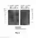 Fig. 09 - Antibodies to insulin-like growth factor binding protein and uses thereof
