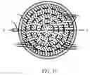 Fig. 11 - Micromachined diagnostic device with controlled flow of fluid and reaction