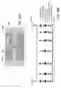 Fig. 41 - LIGHT EMITTING DEVICE PROCESSES