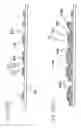 Fig. 25 - Liquid crystal display