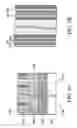 Fig. 07 - Semiconductor device and fabrications thereof