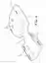 Fig. 05 - Aquatic propulsion device for swimmers