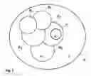 Fig. 02 - Wireless communication