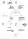 Fig. 01 - Consolidating online privacy preferences
