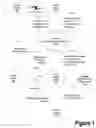 Fig. 02 - Consolidating online privacy preferences