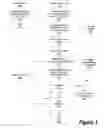 Fig. 04 - Consolidating online privacy preferences