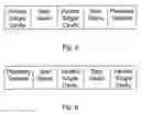 Fig. 04 - Power-Split Transmission