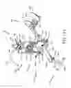 Fig. 12 - METHOD AND APPARATUS FOR TARGETING ABDOMINAL MUSCLES WHILE RECEIVING A CARDIOVASCULAR WORKOUT