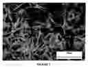 Fig. 08 - Composite
