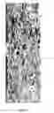 Fig. 03 - Low coefficient of thermal expansion materials including nonstoichiometric cordierite fibers and methods of manufacture