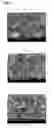 Fig. 02 - Metal Oxide with High Thermal Stability and Preparing Method Thereof