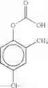 Fig. 02 - Phytoactive Composition