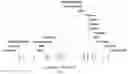 Fig. 01 - Auxin-Repressed, Dormancy-Associated Promoter and Uses Thereof