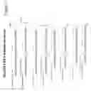 Fig. 03 - Auxin-Repressed, Dormancy-Associated Promoter and Uses Thereof