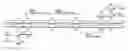Fig. 01 - Nucleotide primer set and nucleotide probe for detecting genotype of methylene tetrahydrofolate reductase (MTHFR)