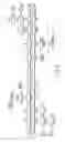 Fig. 04 - Nucleotide primer set and nucleotide probe for detecting genotype of methylene tetrahydrofolate reductase (MTHFR)