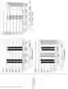 Fig. 17 - Nucleotide primer set and nucleotide probe for detecting genotype of methylene tetrahydrofolate reductase (MTHFR)