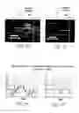 Fig. 04 - Methods of macromolecular analysis using nanochannel arrays