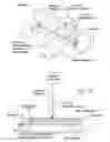 Fig. 06 - Methods of macromolecular analysis using nanochannel arrays