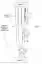 Fig. 08 - Methods of macromolecular analysis using nanochannel arrays