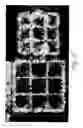 Fig. 18 - Methods of macromolecular analysis using nanochannel arrays