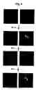 Fig. 06 - System For Detecting Molecular Interactions