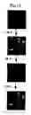 Fig. 11 - System For Detecting Molecular Interactions
