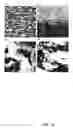 Fig. 19 - FABRICATED BIOFILM STORAGE DEVICE