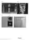 Fig. 23 - FABRICATED BIOFILM STORAGE DEVICE