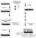 Fig. 01 - MASSIVELY PARALLEL SYNTHESIS OF BIOPOLYMERIC ARRAYS