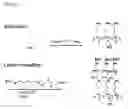 Fig. 06 - MASSIVELY PARALLEL SYNTHESIS OF BIOPOLYMERIC ARRAYS