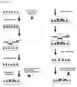 Fig. 08 - MASSIVELY PARALLEL SYNTHESIS OF BIOPOLYMERIC ARRAYS