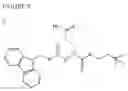 Fig. 10 - MASSIVELY PARALLEL SYNTHESIS OF BIOPOLYMERIC ARRAYS