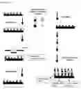 Fig. 13 - MASSIVELY PARALLEL SYNTHESIS OF BIOPOLYMERIC ARRAYS
