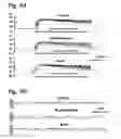 Fig. 03 - System for seizure suppression