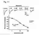 Fig. 19 - System for seizure suppression
