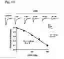 Fig. 20 - System for seizure suppression