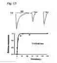 Fig. 21 - System for seizure suppression
