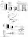 Fig. 01 - Methods for Promoting Stem Cell Proliferation and Survival