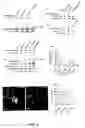 Fig. 04 - Methods for Promoting Stem Cell Proliferation and Survival