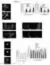 Fig. 07 - Methods for Promoting Stem Cell Proliferation and Survival