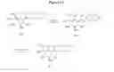 Fig. 12 - Benzylic glycoside derivatives and methods of use